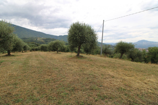 Casale / Rustico in vendita a Folignano