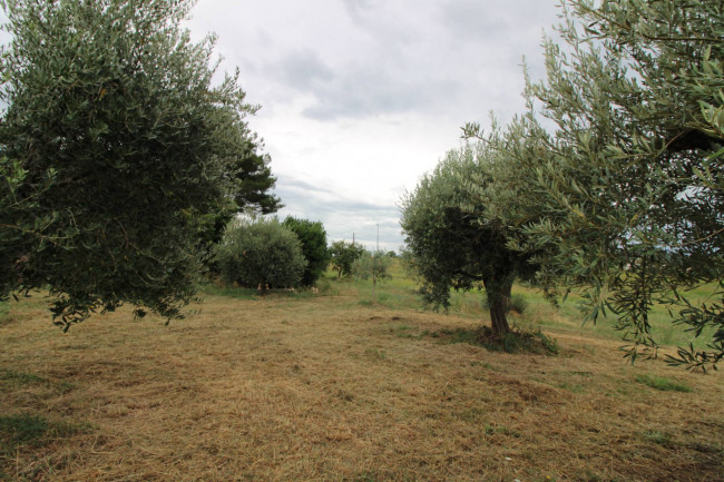 Casale / Rustico in vendita a Folignano