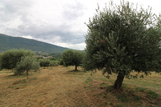 Casale / Rustico in vendita a Folignano