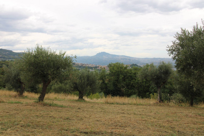 Casale / Rustico in vendita a Folignano