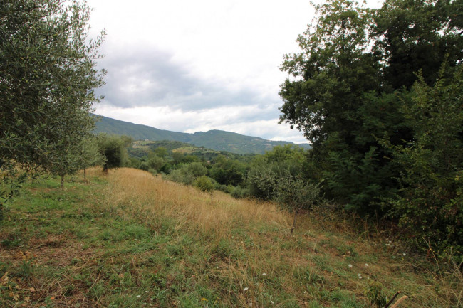 Casale / Rustico in vendita a Folignano
