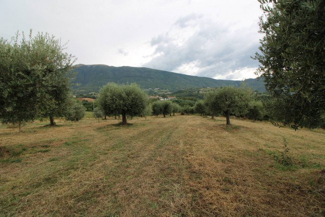 Casale / Rustico in vendita a Folignano