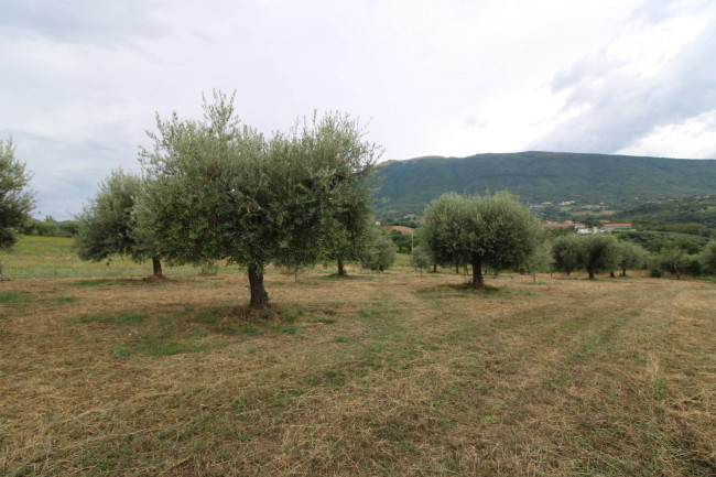 Casale / Rustico in vendita a Folignano
