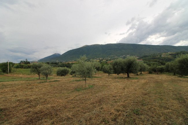 Casale / Rustico in vendita a Folignano