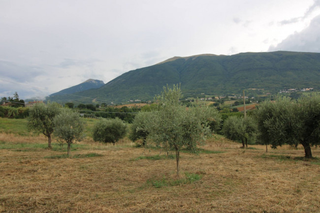Casale / Rustico in vendita a Folignano