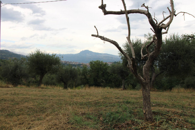 Casale / Rustico in vendita a Folignano