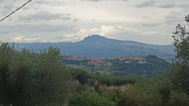 Casale / Rustico in vendita a Folignano