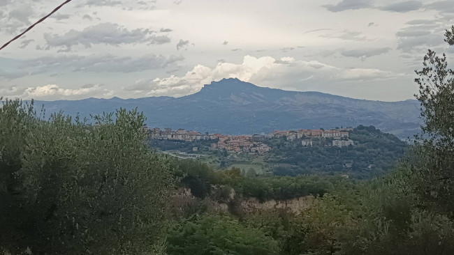 Casale / Rustico in vendita a Folignano