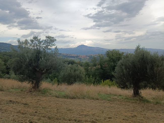 Casale / Rustico in vendita a Folignano