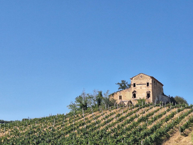 Casale / Rustico in vendita a Monteprandone