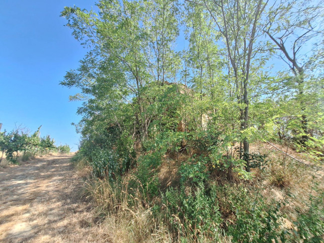 Casale / Rustico in vendita a Monteprandone