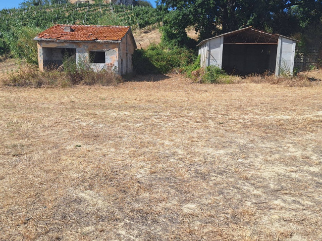 Casale / Rustico in vendita a Monteprandone