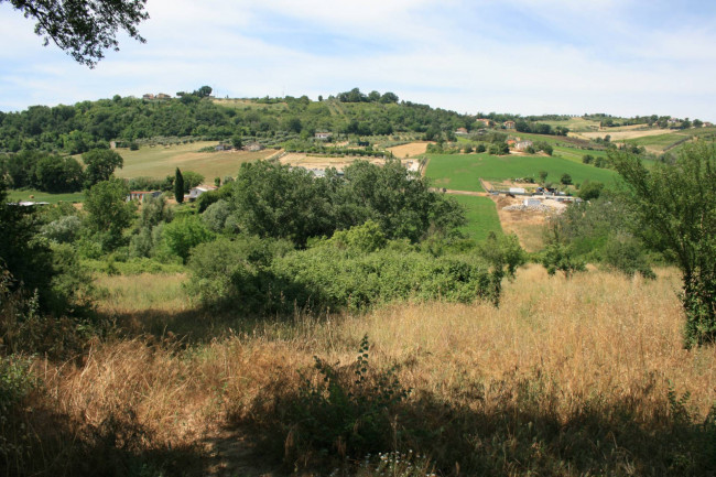 Terreno agricolo in vendita a Monsampolo del Tronto