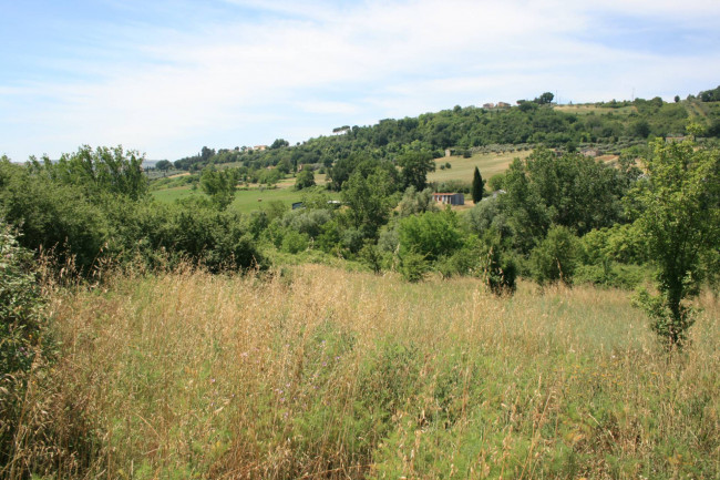 Terreno agricolo in vendita a Monsampolo del Tronto