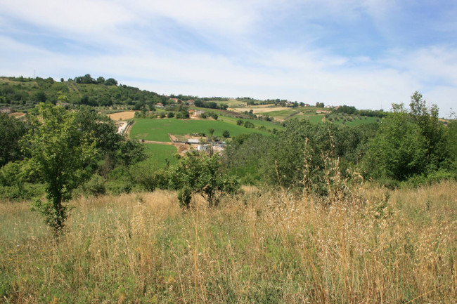 Terreno agricolo in vendita a Monsampolo del Tronto