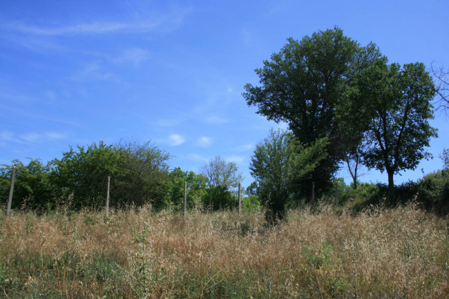 Terreno agricolo in vendita a Monsampolo del Tronto
