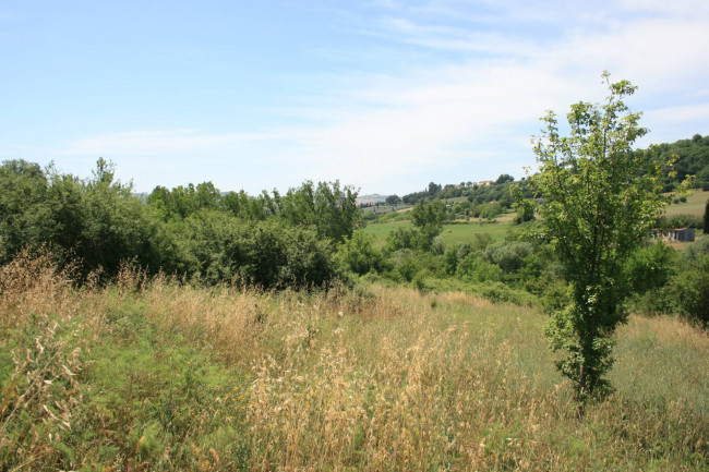 Terreno agricolo in vendita a Monsampolo del Tronto