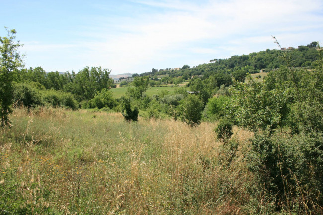 Terreno agricolo in vendita a Monsampolo del Tronto