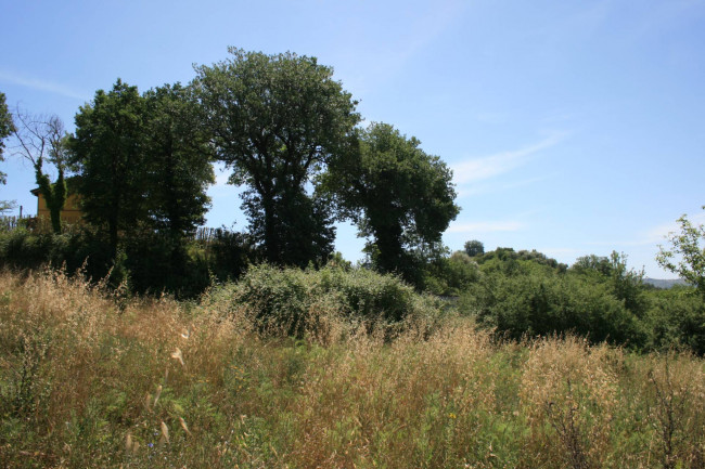 Terreno agricolo in vendita a Monsampolo del Tronto