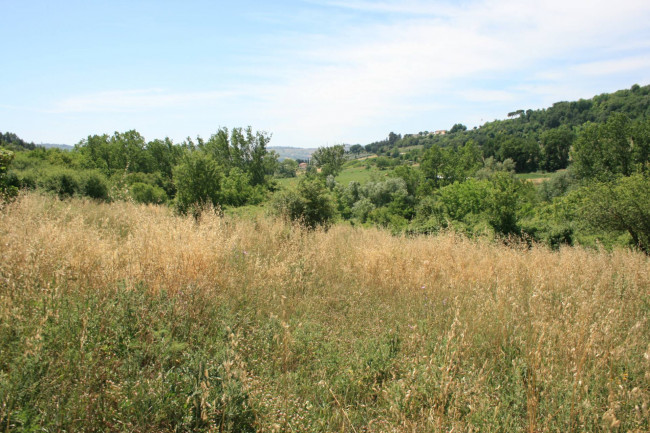 Terreno agricolo in vendita a Monsampolo del Tronto