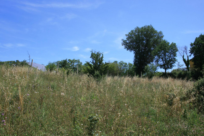 Terreno agricolo in vendita a Monsampolo del Tronto