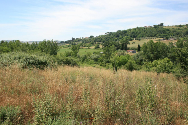 Terreno agricolo in vendita a Monsampolo del Tronto