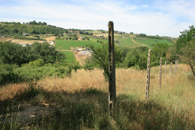 Terreno agricolo in vendita a Monsampolo del Tronto