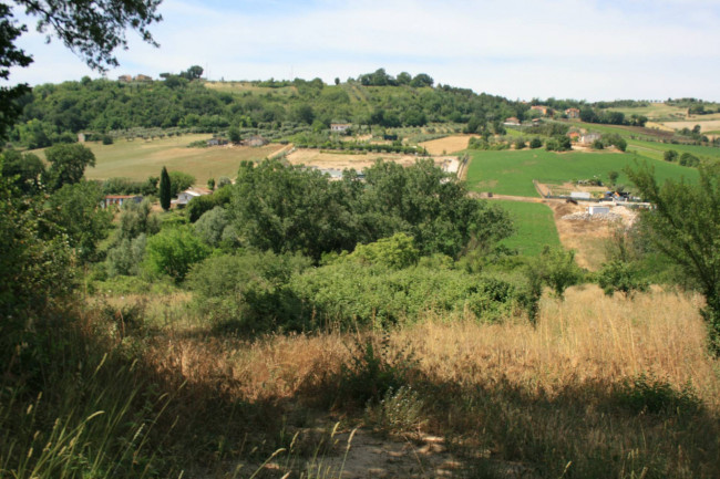 Terreno agricolo in vendita a Monsampolo del Tronto