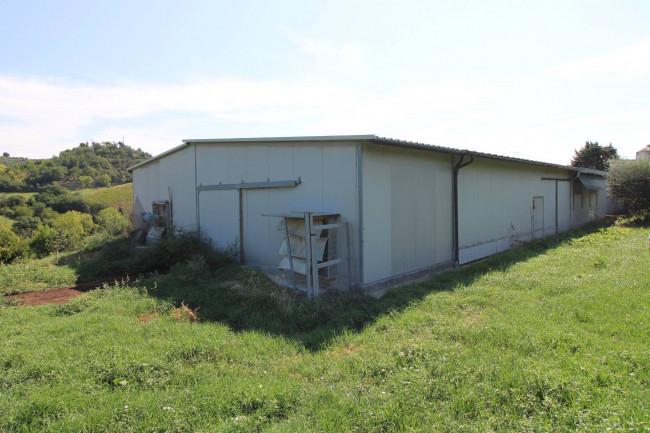 Casa in vendita a Petritoli