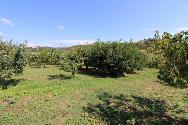 Casa in vendita a Petritoli