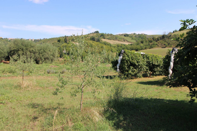 Casa in vendita a Petritoli