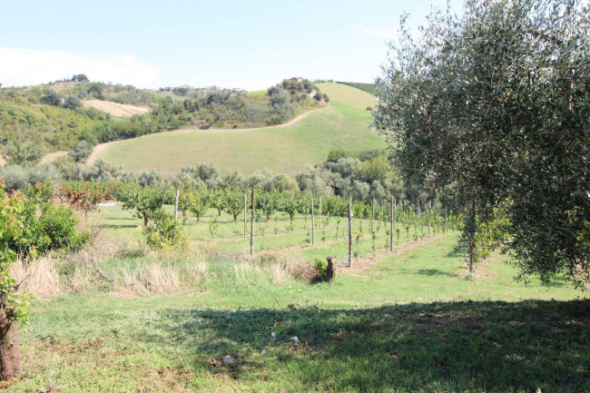 Casa in vendita a Petritoli