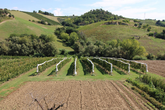 Casa in vendita a Petritoli