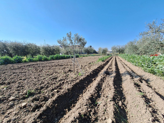 Terreno agricolo in vendita a San Benedetto del Tronto