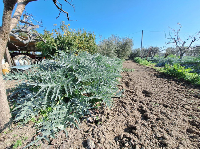 Terreno agricolo in vendita a San Benedetto del Tronto