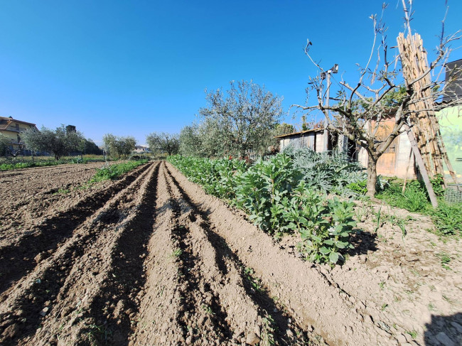 Terreno agricolo in vendita a San Benedetto del Tronto