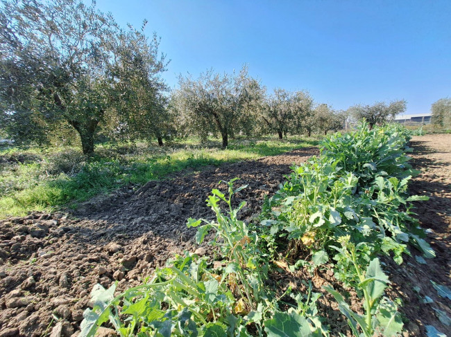 Terreno agricolo in vendita a San Benedetto del Tronto