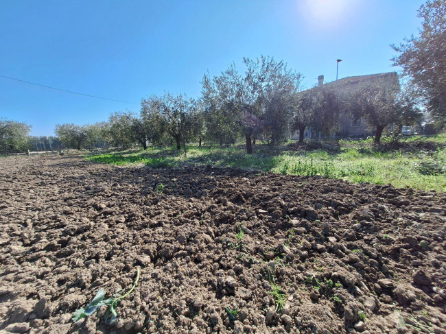 Terreno agricolo in vendita a San Benedetto del Tronto