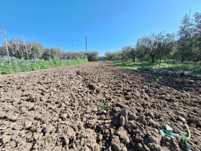 Terreno agricolo in vendita a San Benedetto del Tronto