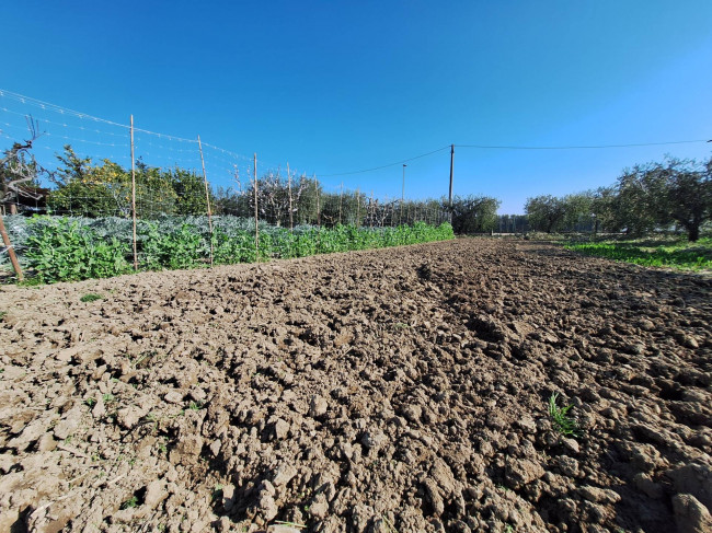Terreno agricolo in vendita a San Benedetto del Tronto