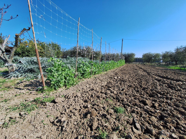 Terreno agricolo in vendita a San Benedetto del Tronto