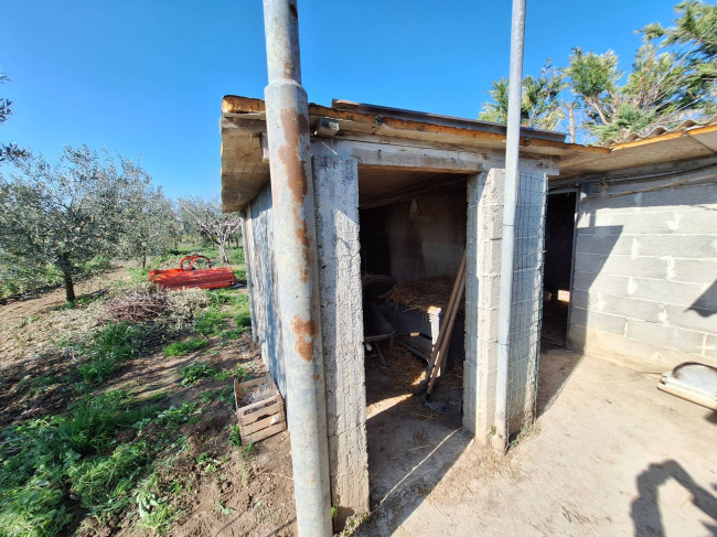 Terreno agricolo in vendita a San Benedetto del Tronto