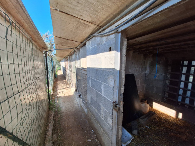 Terreno agricolo in vendita a San Benedetto del Tronto