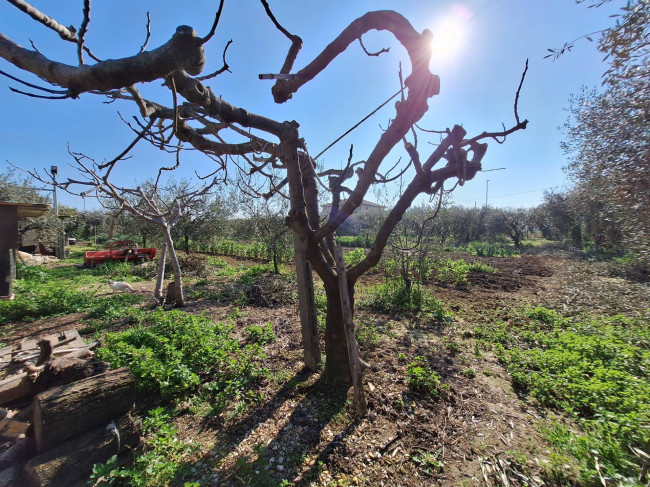 Terreno agricolo in vendita a San Benedetto del Tronto