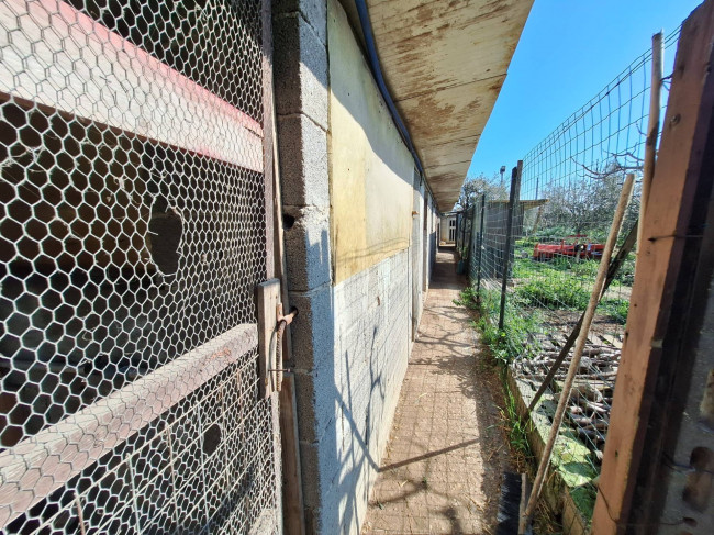 Terreno agricolo in vendita a San Benedetto del Tronto
