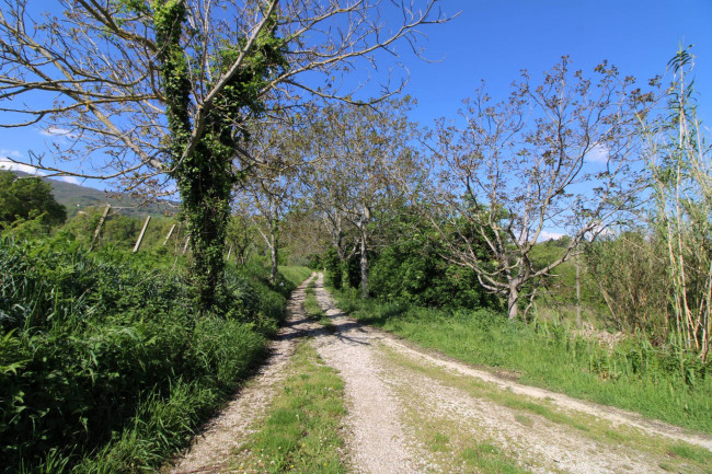 Casale / Rustico in vendita a Rotella