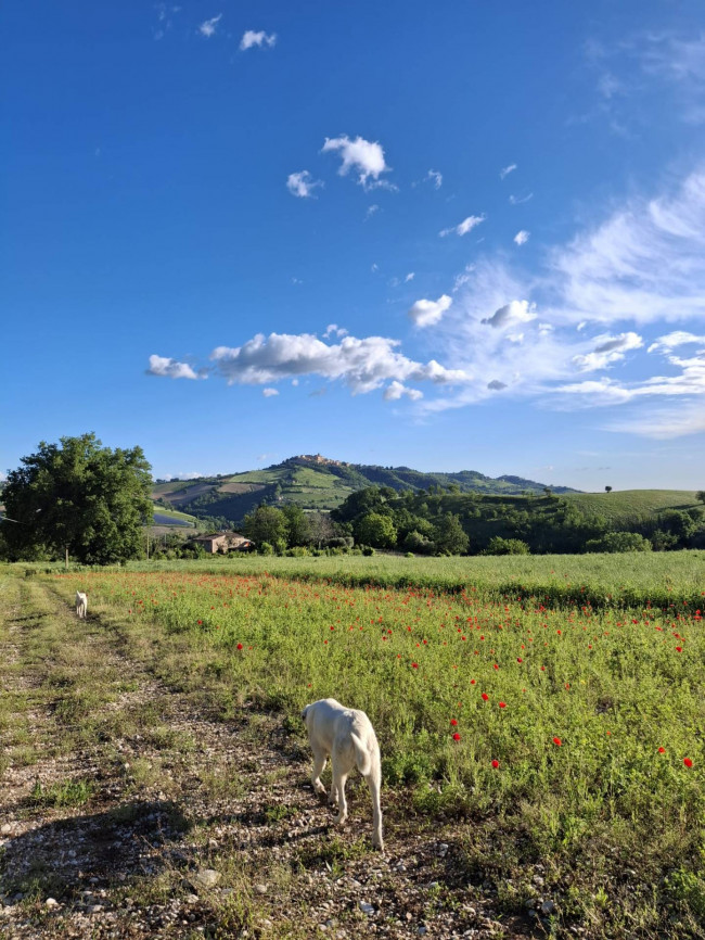 Casale / Rustico in vendita a Rotella