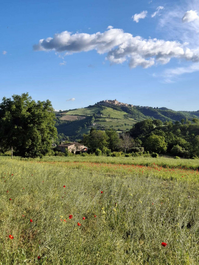 Casale / Rustico in vendita a Rotella
