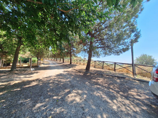 Agriturismo in vendita a Acquaviva Picena