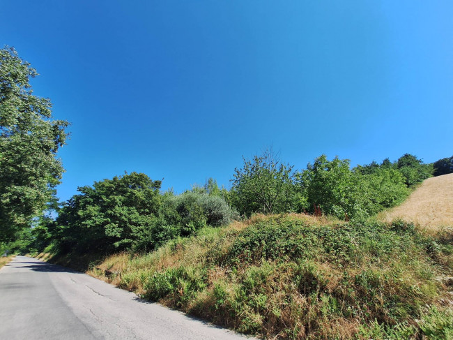 AGRICULTURAL LAND for sale in Acquaviva Picena